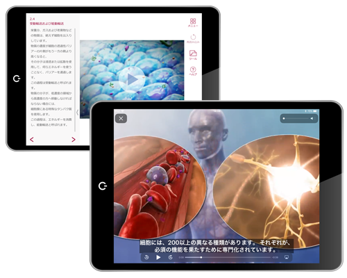 Visible Body Anatomy Physiology 解剖学と生理学 Ovid Wolters Kluwer Visible Body Anatomy Physiology 解剖学と生理学 Ovid Wolters Kluwer