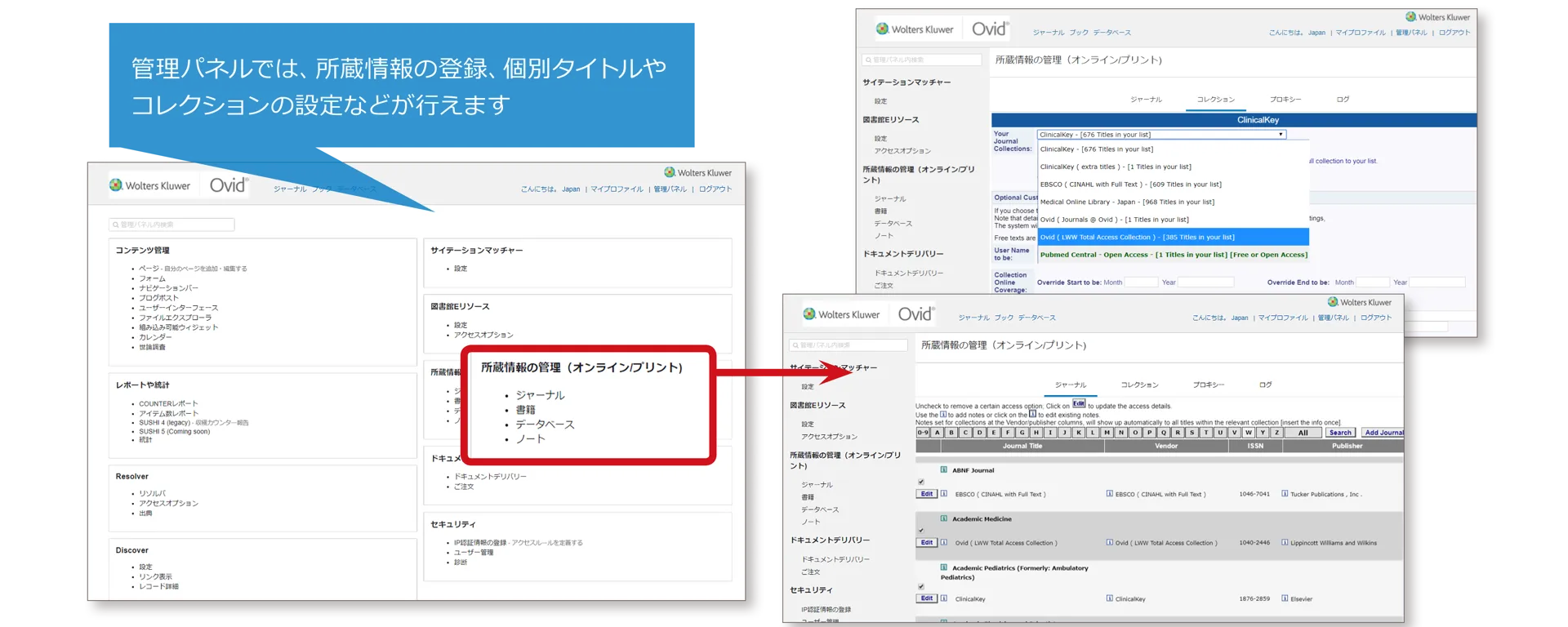 Screenshot of Ovid Discovery Link Resolver holdings