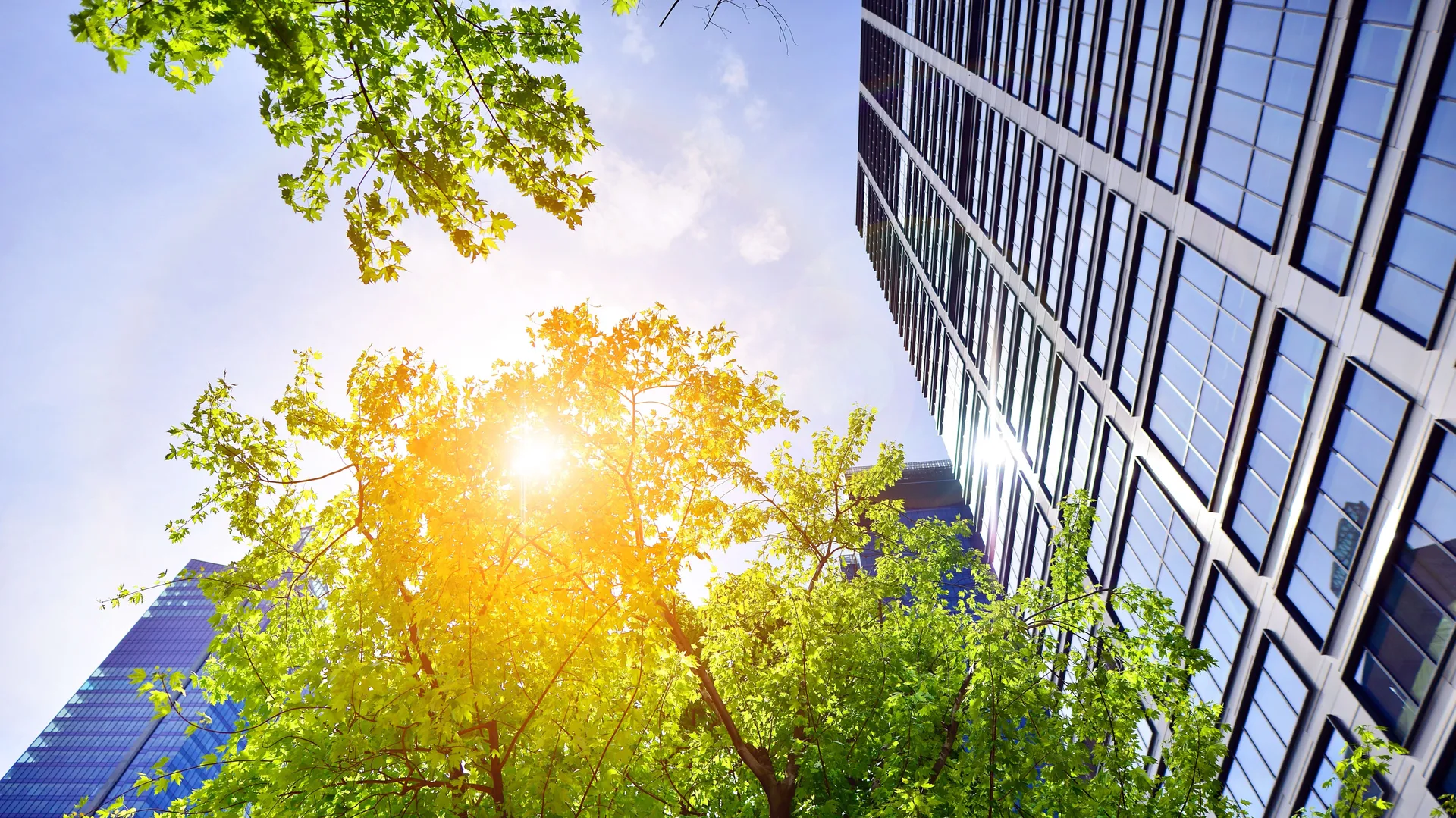 Evolving sustainability strategies in a changing world