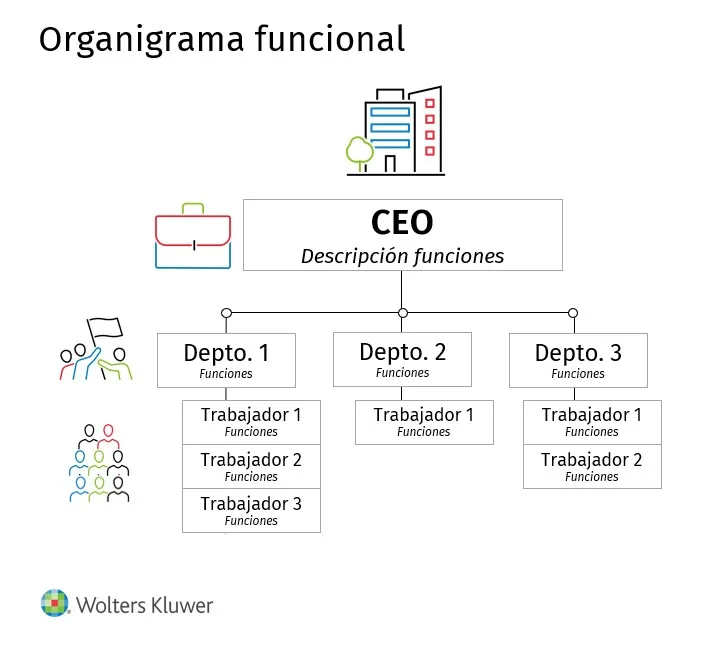 organigrama empresa funcional