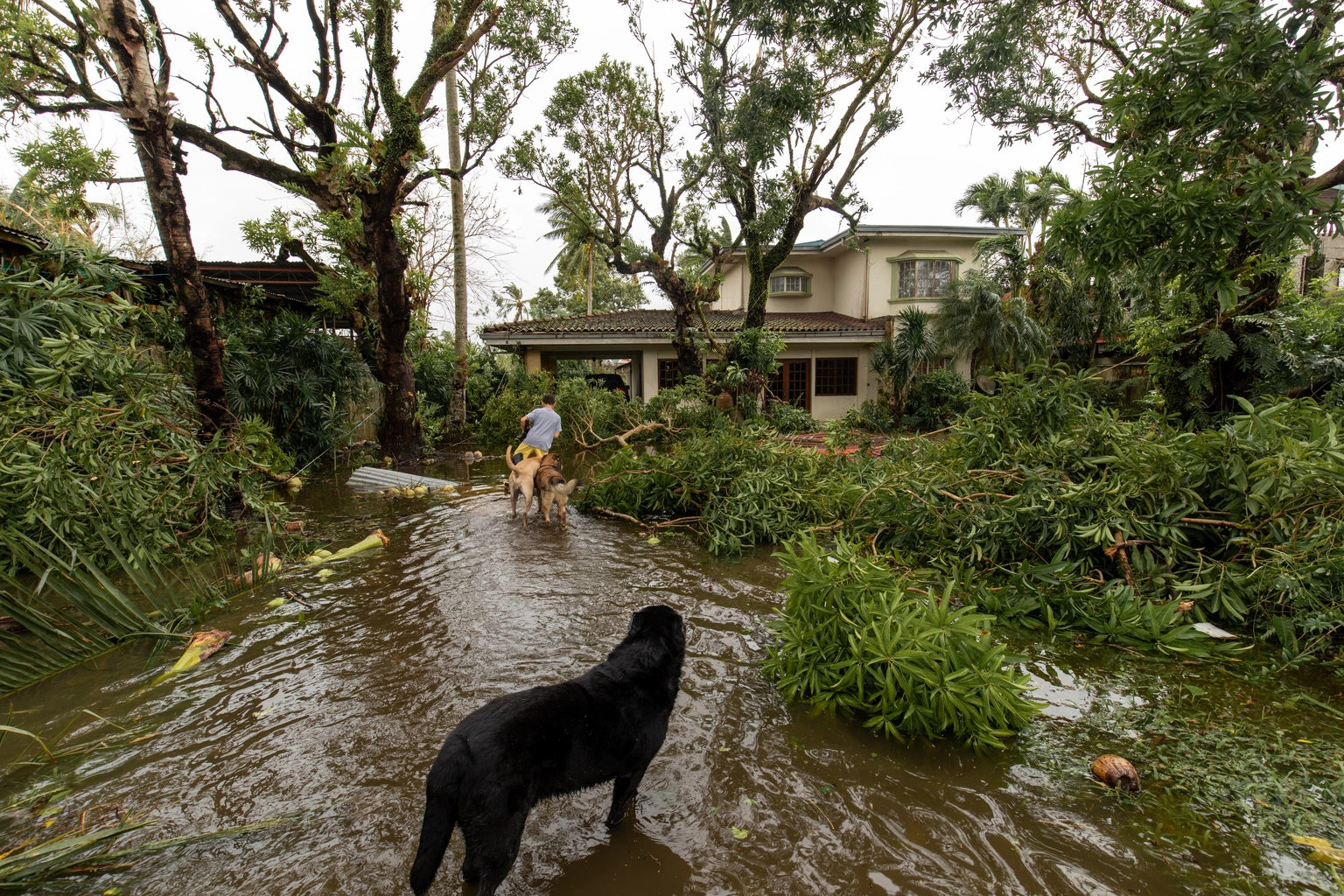 Tax relief for residents of the Commonwealth of the Northern Mariana Islands affected by Super Typhoon Sinlaku: IRA and HSA deadlines postponed 