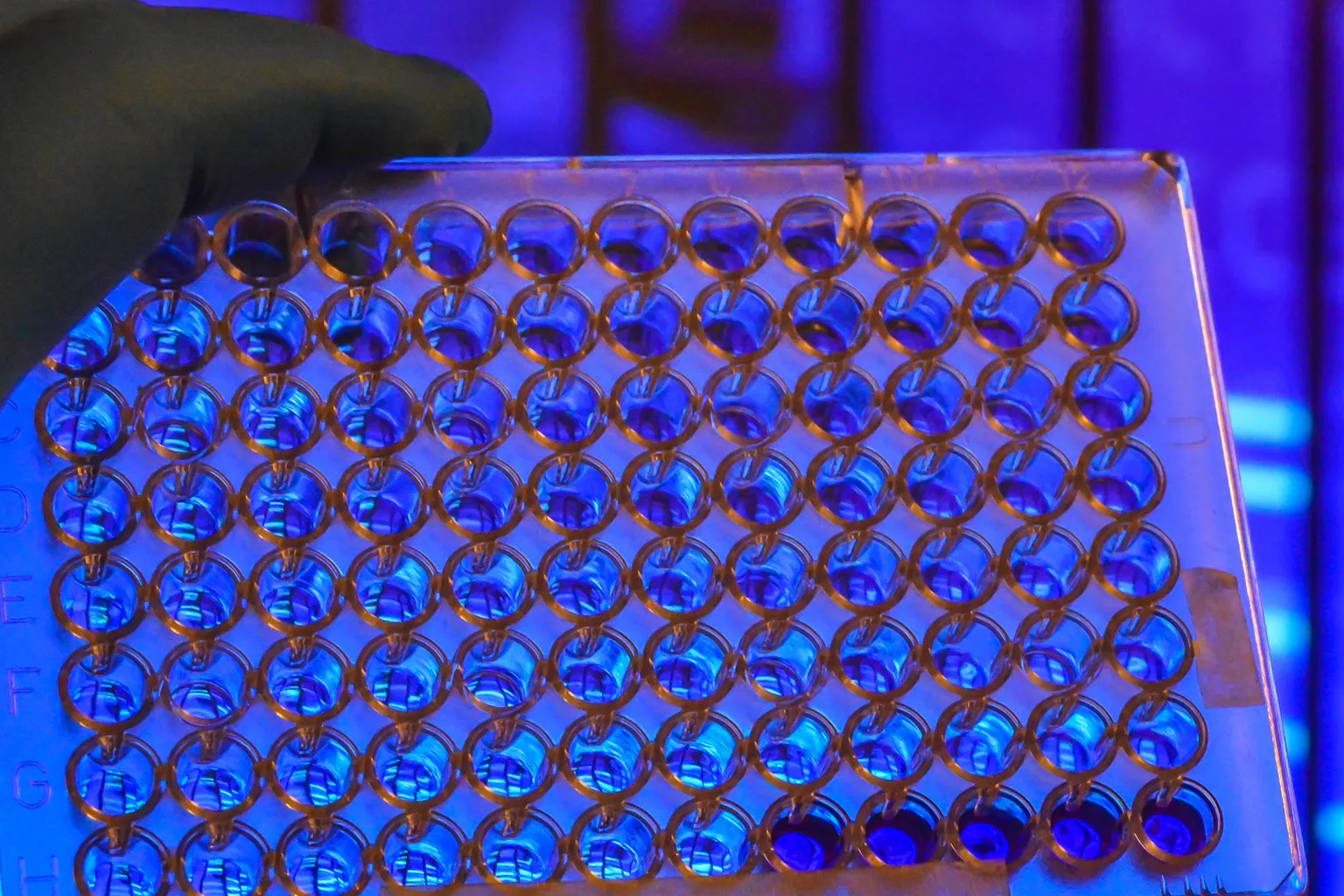 Farmacogenómica: Involucrar y unir equipos es la clave para avanzar en la atención médica