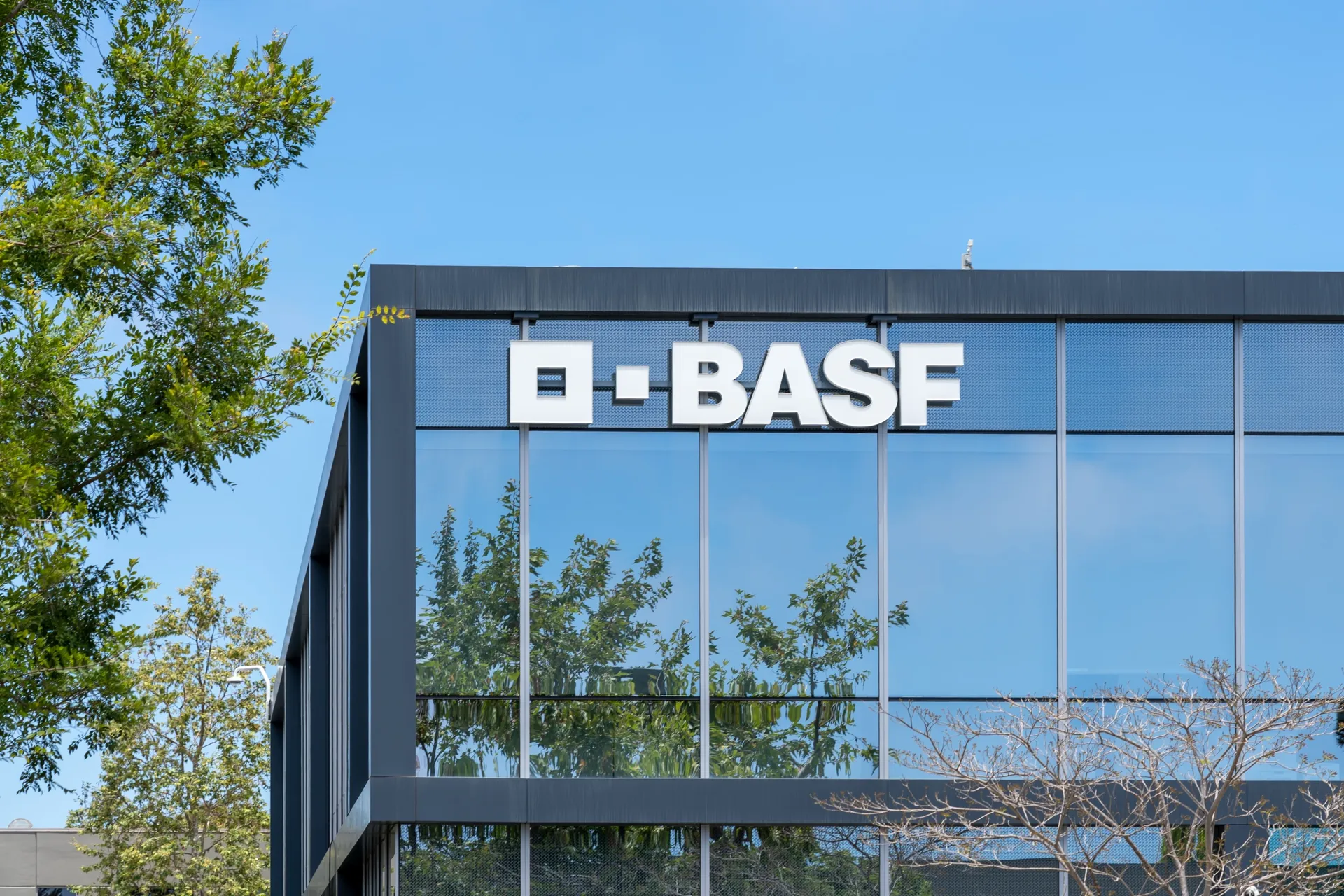 How BASF elevates sustainability reporting assurance with Enablon