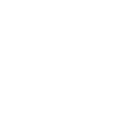 Illustrated icon