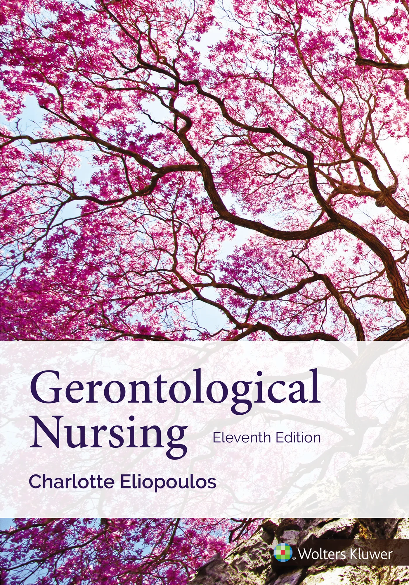 Gerontological Nursing Cover