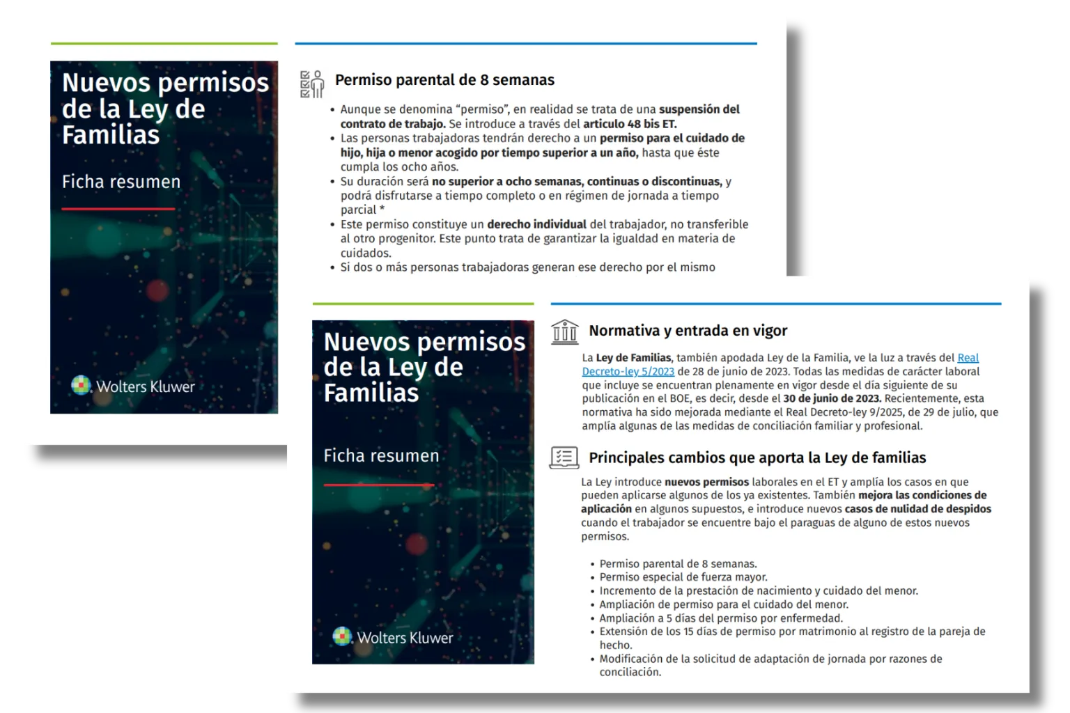 paginas interiores landing ley familias