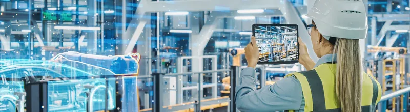 Safety and digital ecosystems