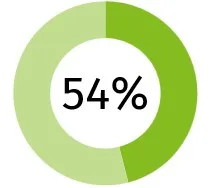 54% Graphic Green 