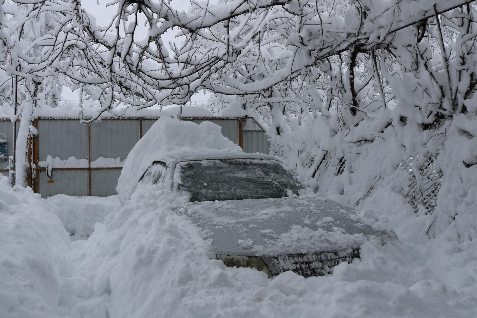 Tax relief for the Fort Peck Assiniboine and Sioux Tribes affected by severe winter storm and straight-line winds: IRA and HSA deadlines postponed 