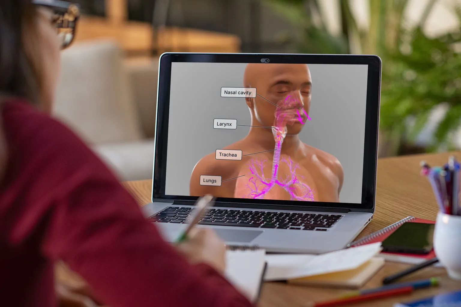 BioDigital Human und XR