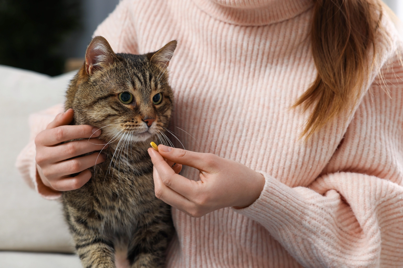 Veterinary dispensing exposes the risk of exception-driven pharmacy workflows
