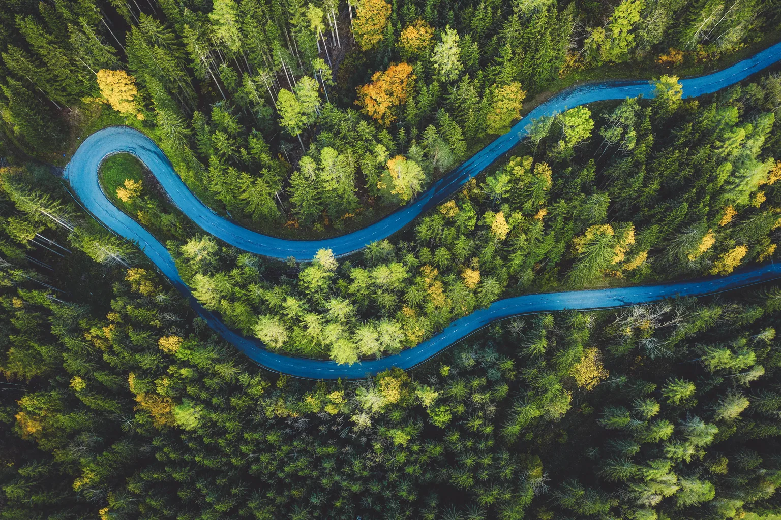 Wolters Kluwer wins 2025 Environment + Energy Leader Award