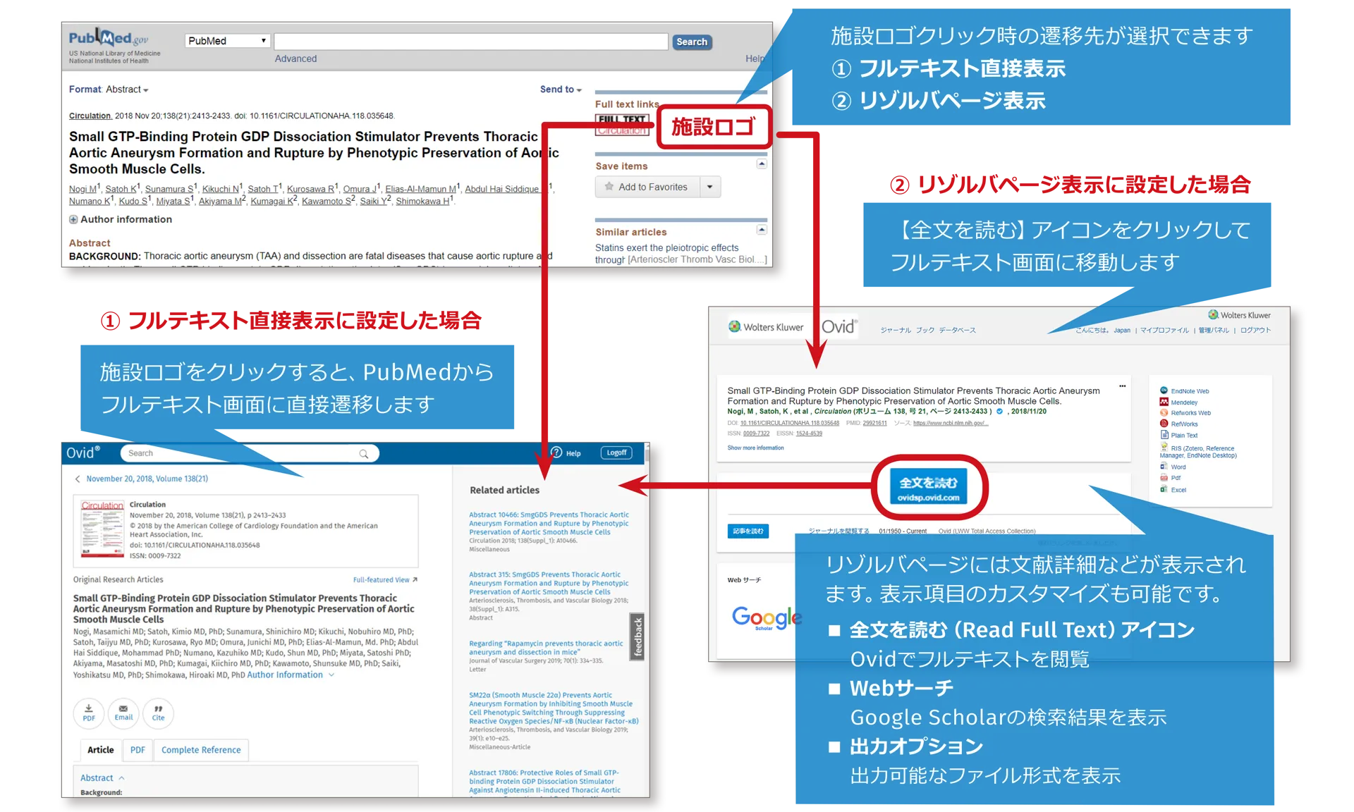 Screenshot of Ovid Discovery Link Resolver flow