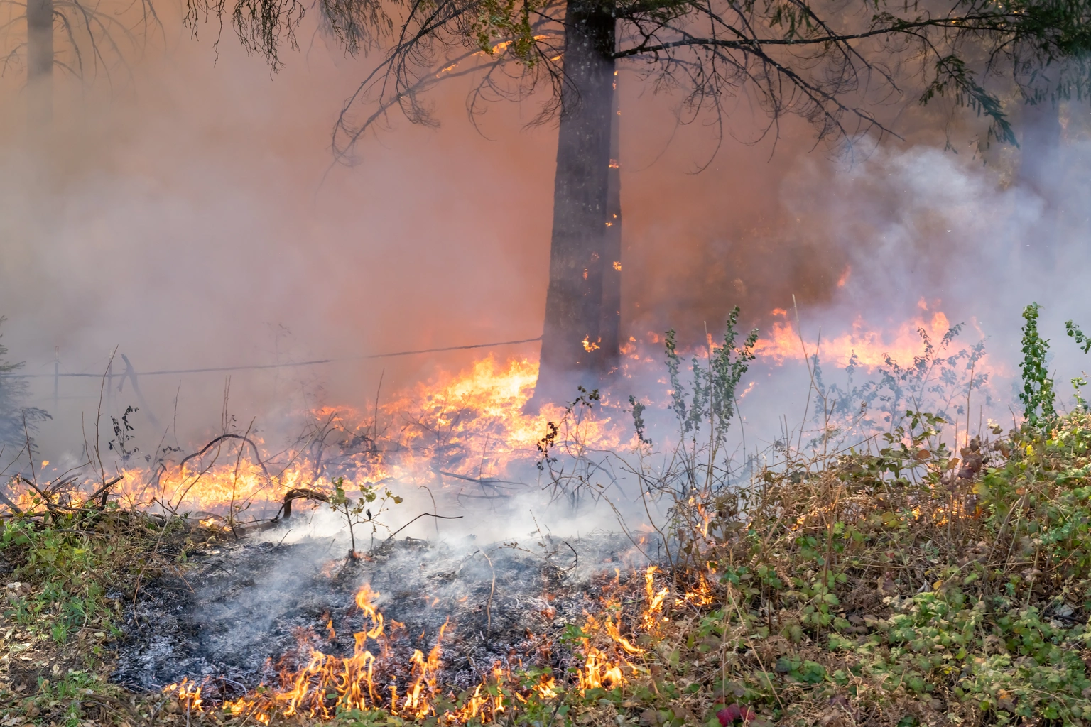 Tax relief for victims of Washington wildfires: IRA and HSA deadlines postponed