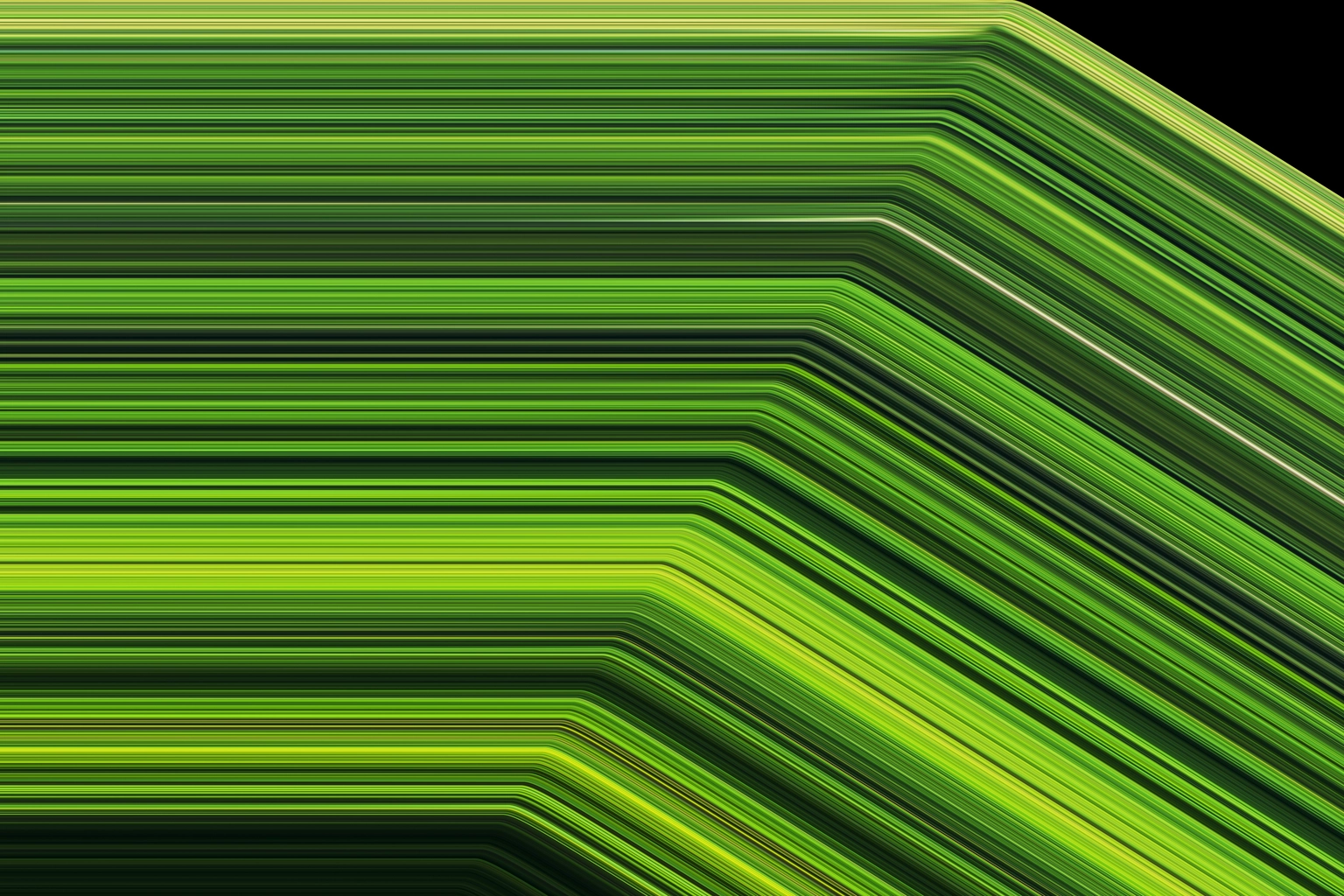 Wolters Kluwer names the winner of its 2025 Excellence in Data Analytics Award