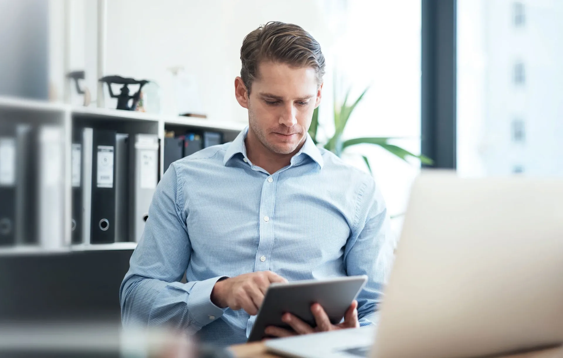 ¿Qué tipos de software existen?