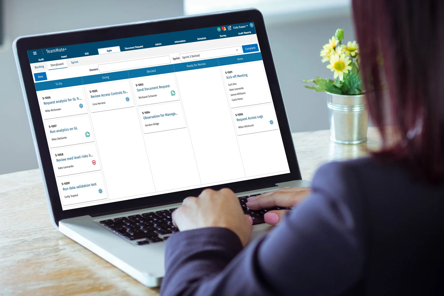 Vea una demostración de TeamMate+ Agile Audit