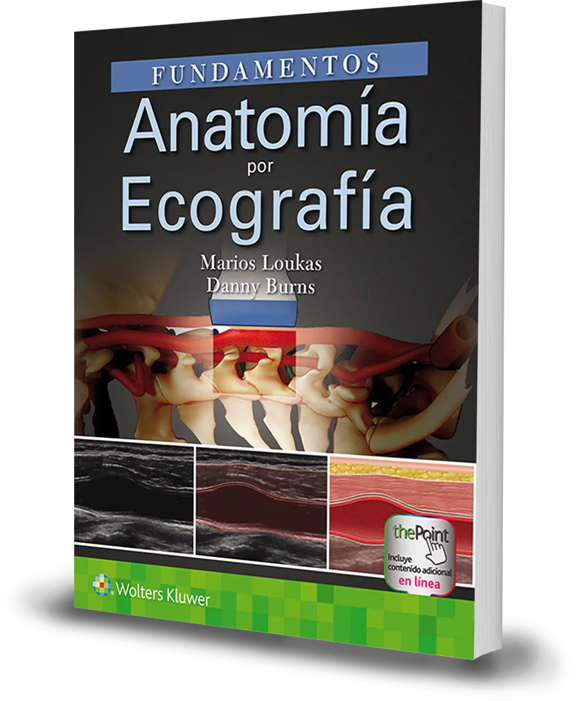 Fundamentos. Anatomía por ecografía