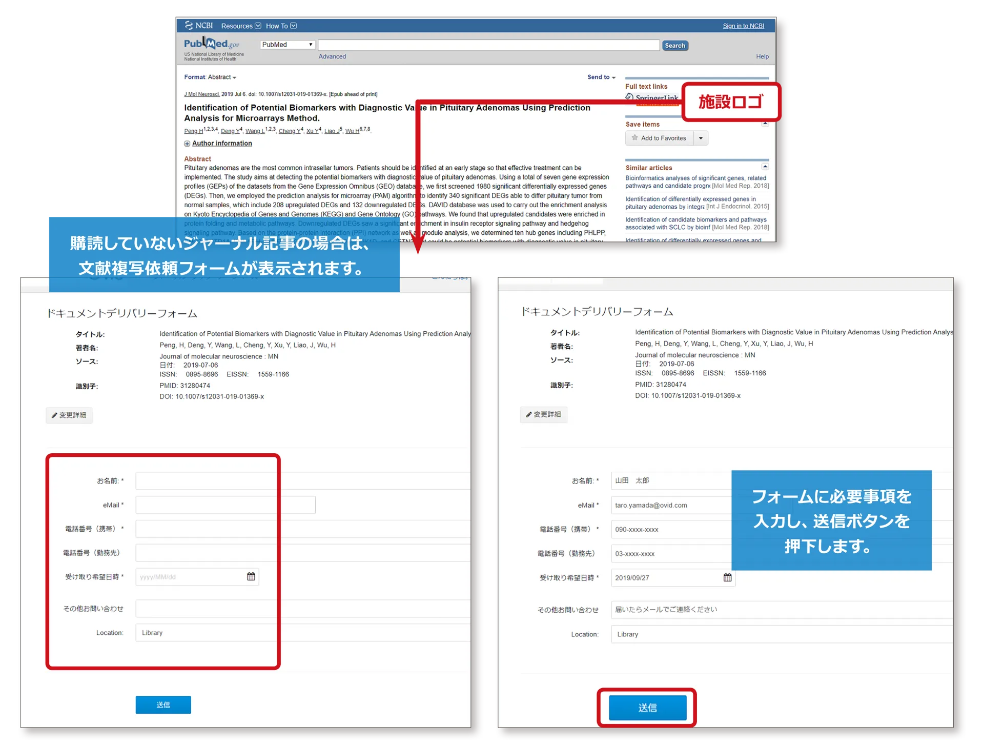 Screenshot of Ovid Discovery Link Resolver doc delivery flow