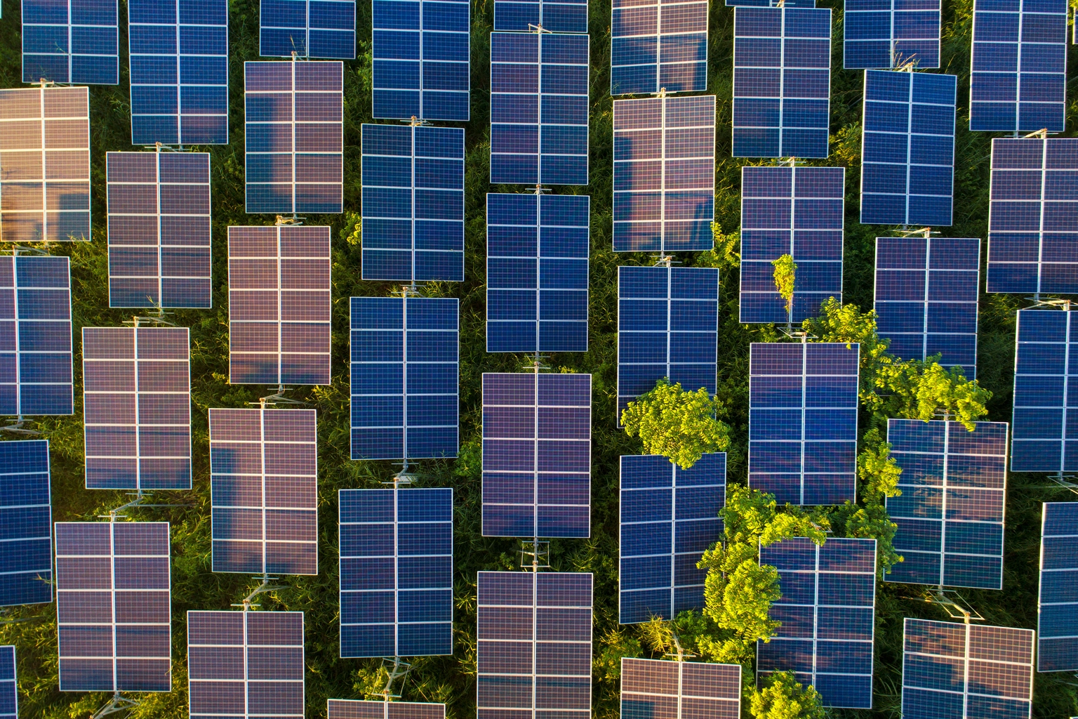 Protect solar loan portfolios and scale with confidence 