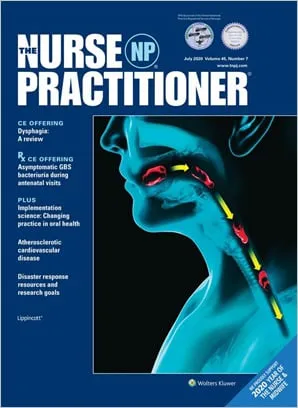 The Nurse Practitioner cover