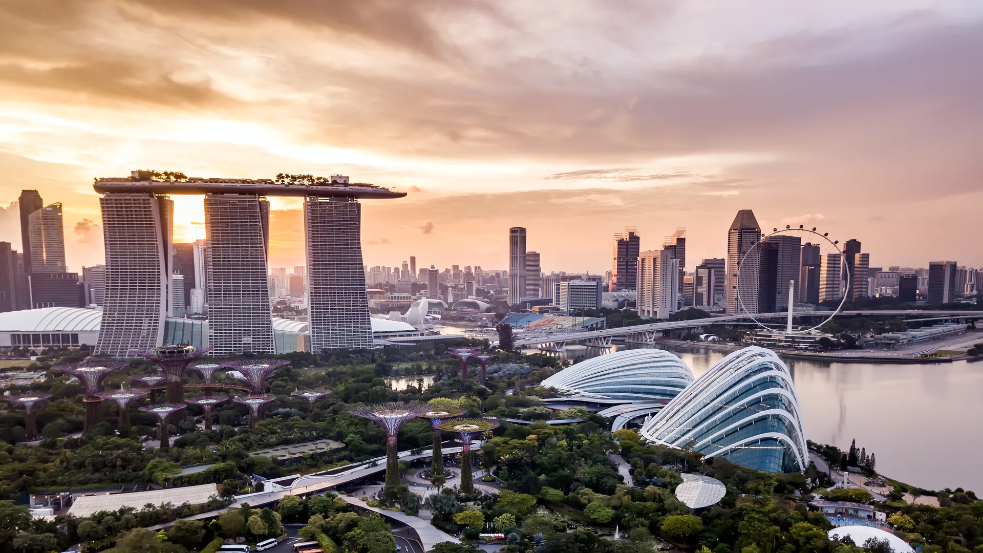 How the Sustainability Reporting Grant helps you fast-track ESG compliance in Singapore