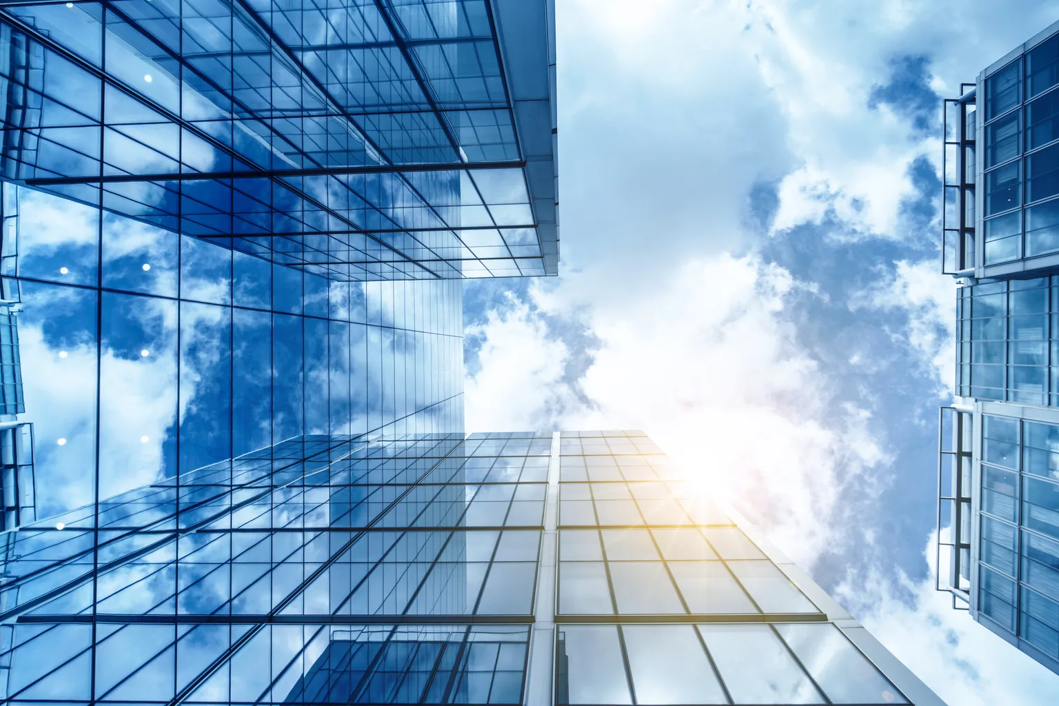 Los Beneficios del Software de Gestión de Contratos para tu Empresa