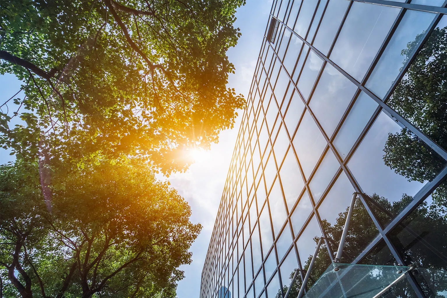 ESG and sustainability reporting software