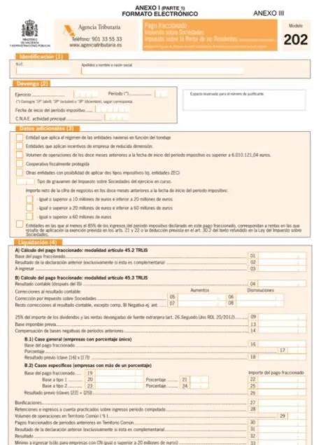 plantilla modelo 202
